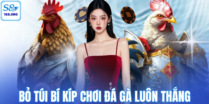 Bỏ túi bí kíp chơi đá gà luôn thắng