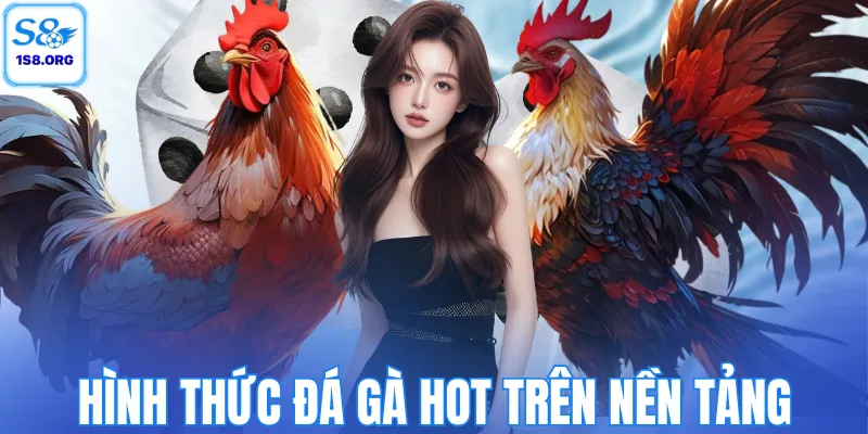 Hình thức đá gà HOT trên nền tảng