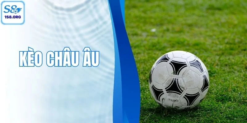 Kèo Châu Âu - Bí Kíp Cá Cược Bất Bại Từ Chuyên Gia S8