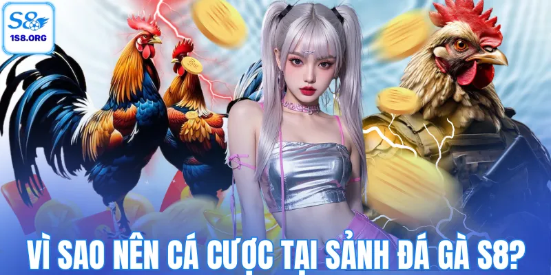 Vì sao nên cá cược tại sảnh đá gà S8?